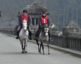 Intro to competing SE & Countryfile